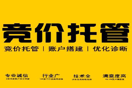 深度解读：SEM竞价托管成功案例